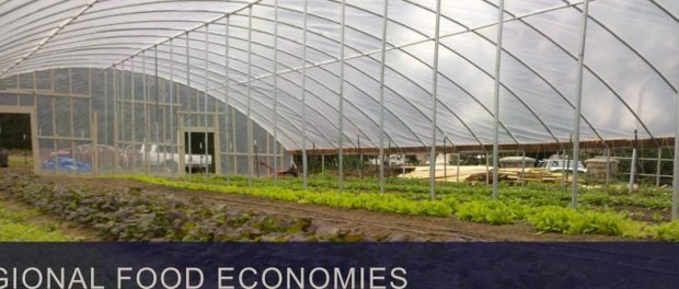 regional food economies