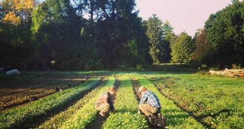 field crew and farm stand