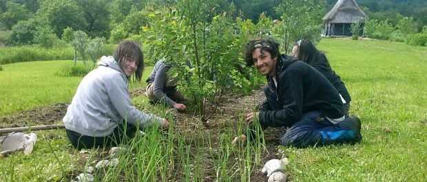 Permaculture Internship in New York