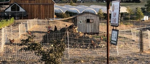 Organic Farm Manager Job in California