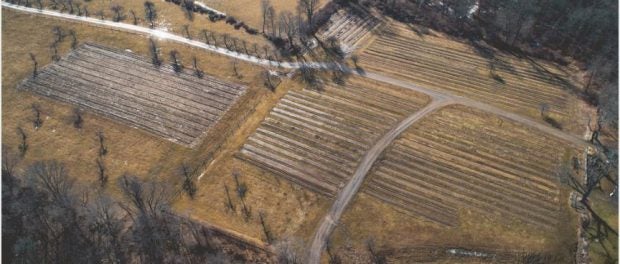 farm and orchard apprenticeships