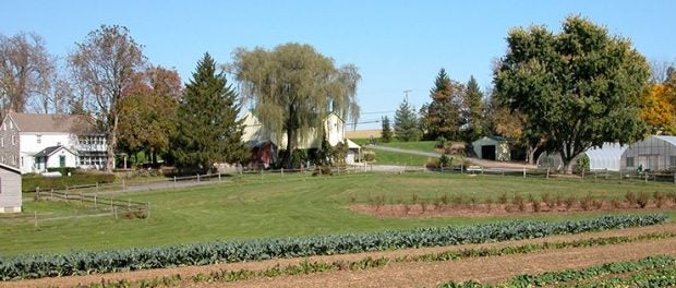Homefields Farm