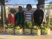 Community Food Projects Grant