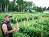 Sustainable Farming and Food Systems Grant