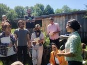 permaculture design certification