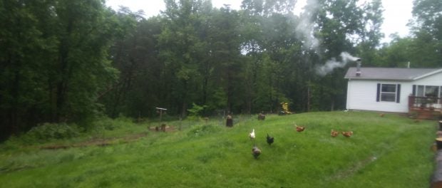 Homesteading Farm Job/Internship