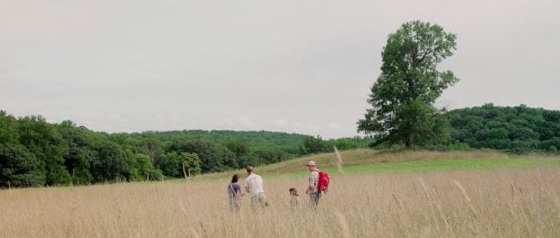 Stone Barns Regenerative Farming Fellowship