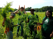 The Food Project's Summer Institute