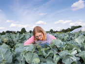 Online Classes in Sustainable Food and Farming