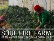 Soul Fire Farm Field Day