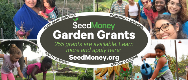 Seedmoney Garden Grants Available Beginning Farmers