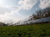 rural renewable energy grants