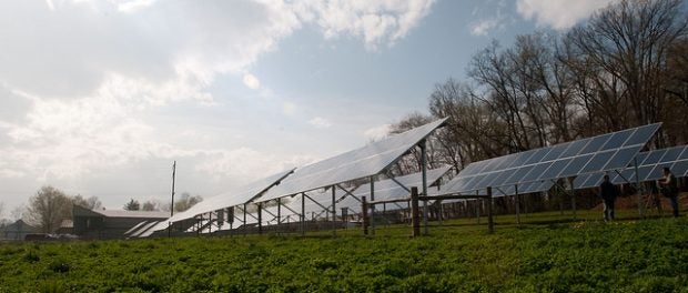 rural renewable energy grants