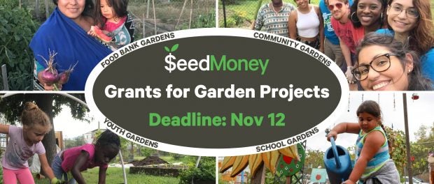 Funding for Public Food Gardens