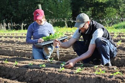 Farmer Training Internship