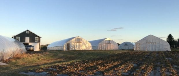 organic farm jobs in Maine
