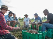 regenerative organic farming internships