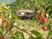 farm interns needed in Italy