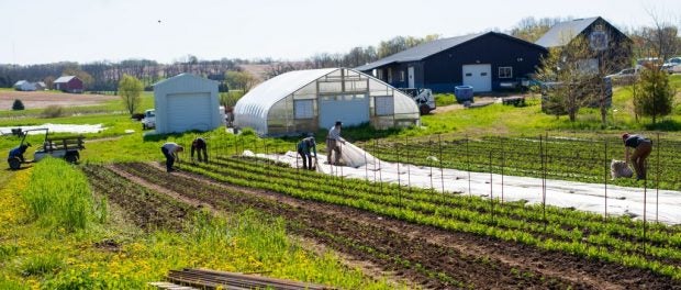 vegetable farm crew