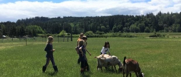 Biodynamic Farm Internships