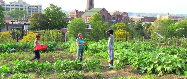 urban farm job