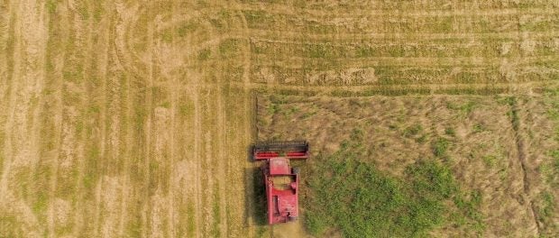 windy acres farm