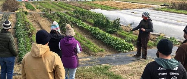 paid farm interns