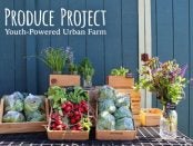 produce project educator