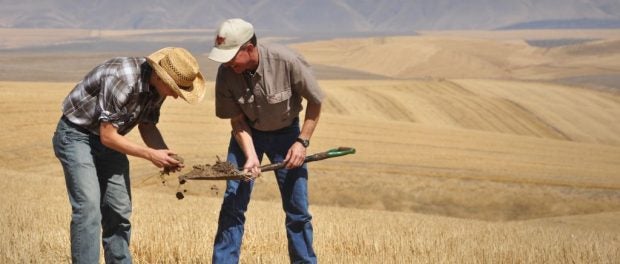 climate and agriculture