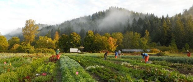 seasonal farm work