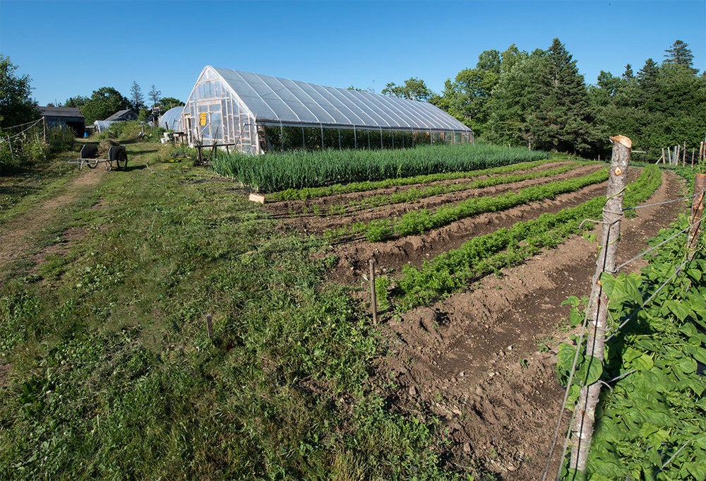 organic farm in Maine