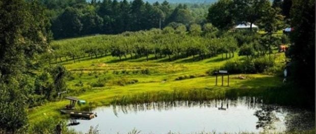 organic apple orchard