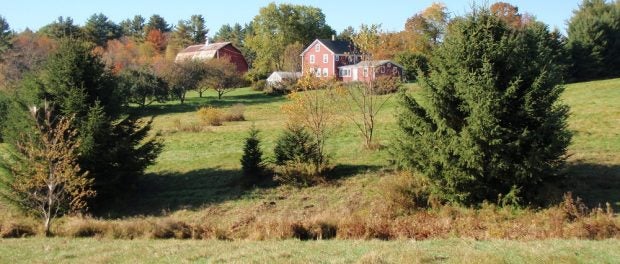 organic farm in massachusetts