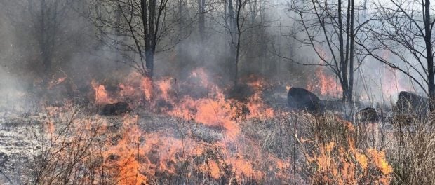 controlled burns on the farm
