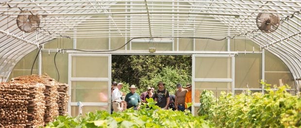 veteran farmer training in Arkansas