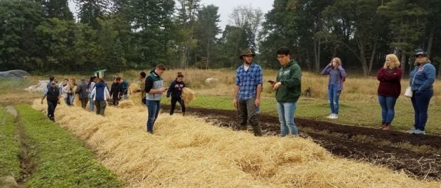 beginning farmer training in New York