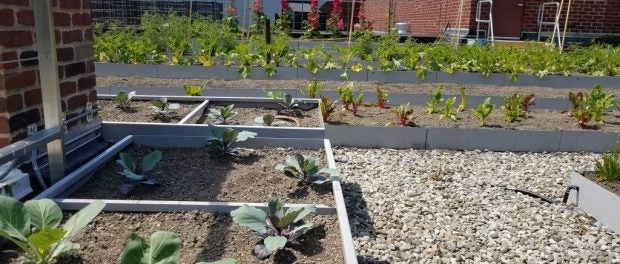 grants for urban agriculture