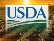 USDA Disaster Assistance