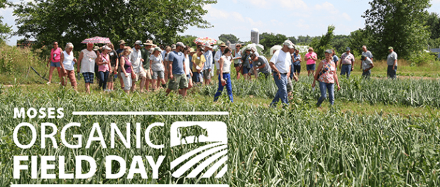 organic field days