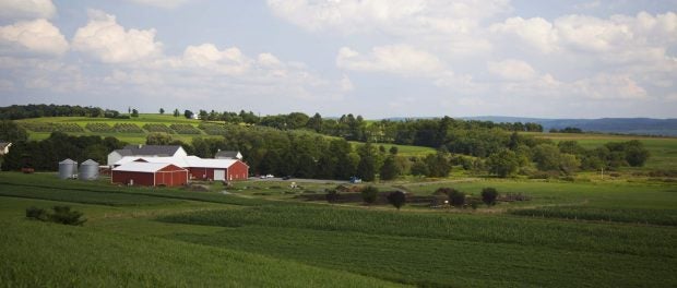 rodale organic field day