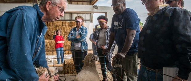 grants for farmer vets