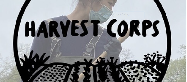 Harvest Corps for Farms