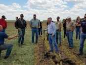 Practical Farmers of Iowa Field Days