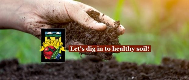 growing healthy soils