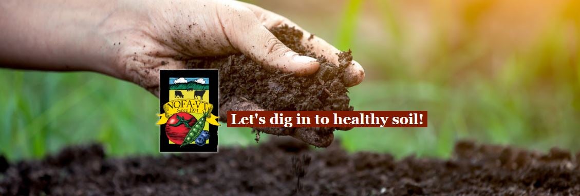 growing healthy soils