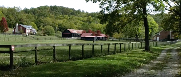 B-Run Farm in Kentucky