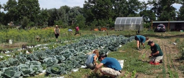 food project farm