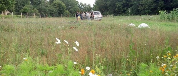 Bee Friendly Farming