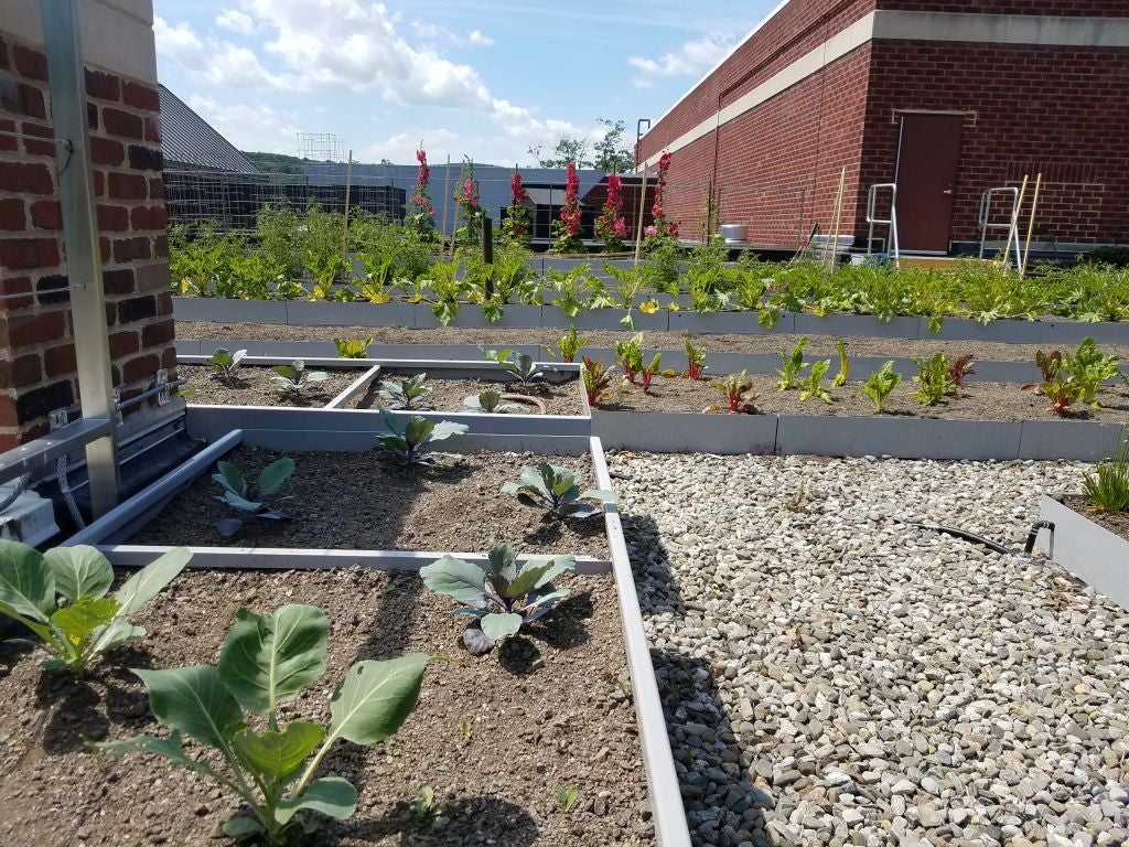 Resource for Urban Agriculture – Restoring Brownfields