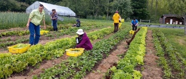 AMI Farm and Food Systems Fellowship